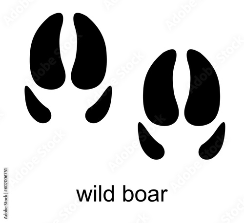Wild boar Footprint. Boar track. Wild pig. Ungulate animal footprints. Mammal animal. Black Silhouette Design. Vector illustration isolated on white background