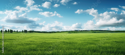 Photographie natural scenic panorama green field AI generated image
