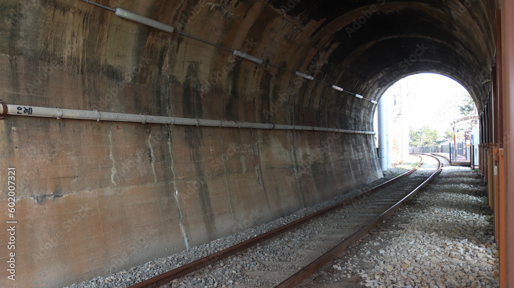 Obraz premium tunnel of the train