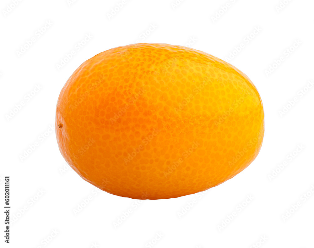 kumquat isolated on white background, full depth of field kumquat isolated on white background, full depth of field
