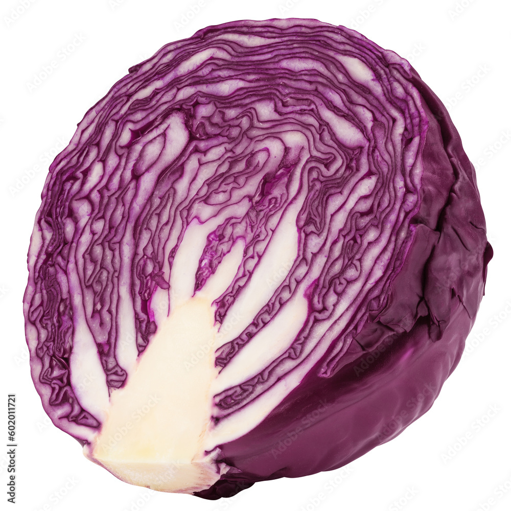 red cabbage, isolated on white background, full depth of field red cabbage, isolated on white background, full depth of field