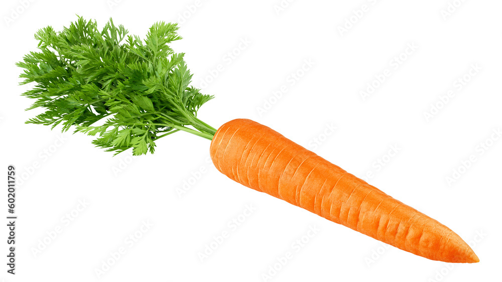 Obraz na płótnie carrot isolated on white background, full depth of field w salonie