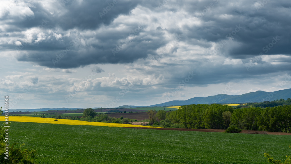 Obraz premium landscape with sky and clouds