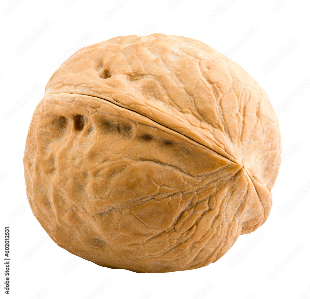 Fototapeta premium walnut, nut, isolated on white background, full depth of field