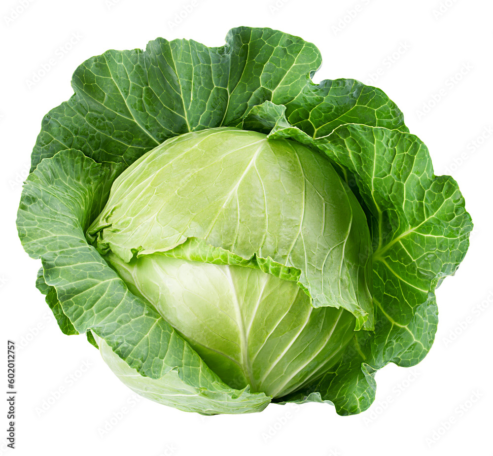 cabbage isolated on white background, full depth of field cabbage isolated on white background, full depth of field
