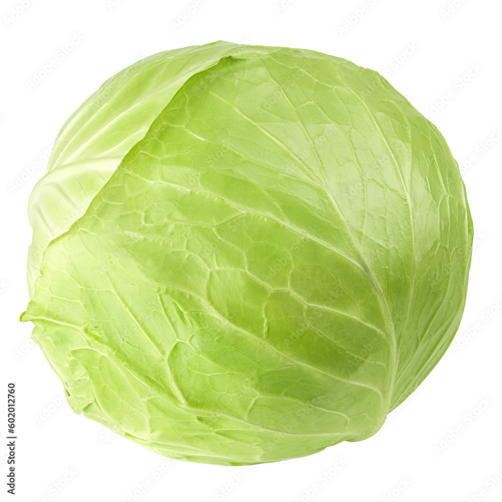 Fototapeta premium cabbage isolated on white background, full depth of field