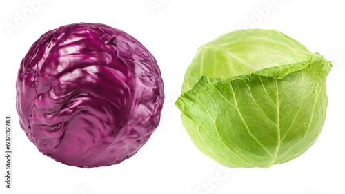 cabbage isolated on white background, full depth of field