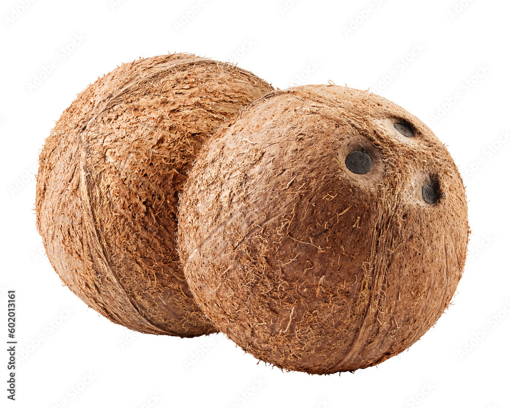 coconut, isolated on white background, full depth of field coconut, isolated on white background, full depth of field