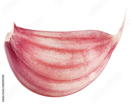 garlic, isolated on white background, full depth of field