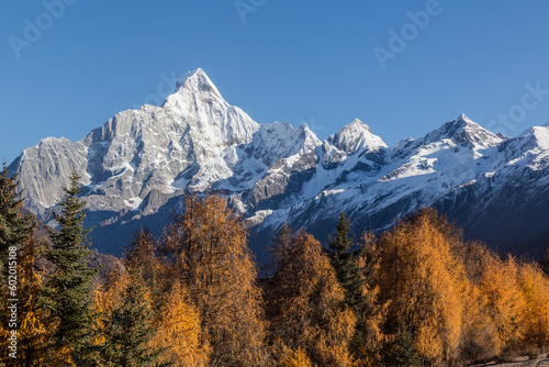 Siguniang mountain in Sichuan province, China