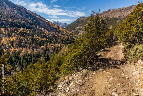 Trail in Haizi valley near Siguniang mountain in Sichuan province, China