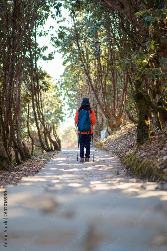 A young traveller trekking on forest trail , Nepal A young traveller trekking on forest trail , Nepal