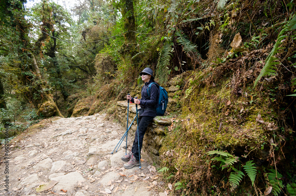 A young traveller trekking on forest trail , Nepal