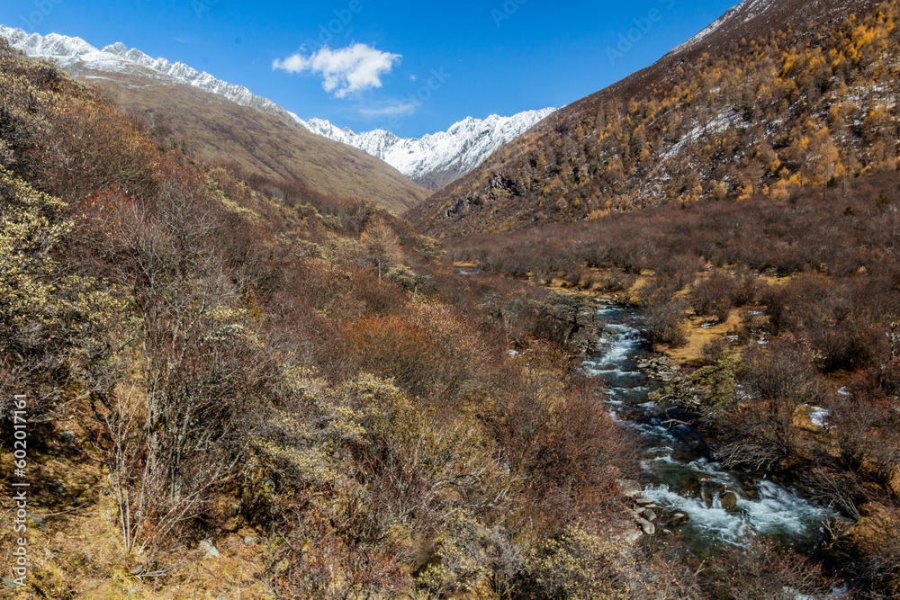 River in Haizi valley near Siguniang mountain in Sichuan province, China River in Haizi valley near Siguniang mountain in Sichuan province, China