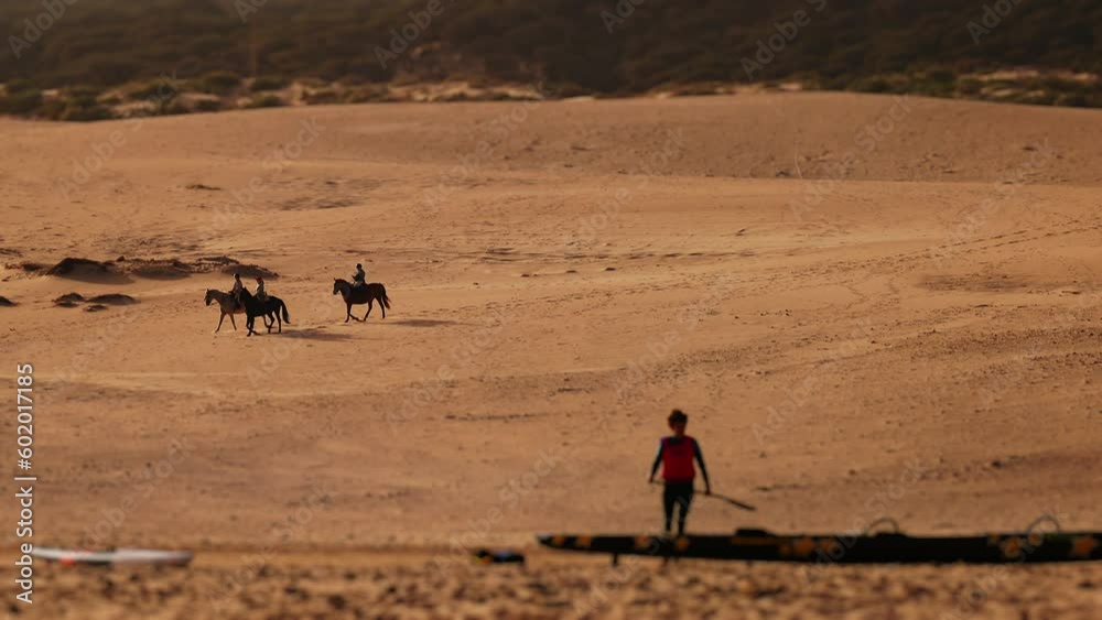 Horse Riders On Beach. Horses Walk Slowly. Windsurfer With Paddle Near Sea. Horse Riders On Beach. Horses Walk Slowly. Windsurfer With Paddle Near Sea.