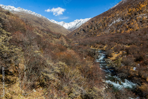 River in Haizi valley near Siguniang mountain in Sichuan province, China