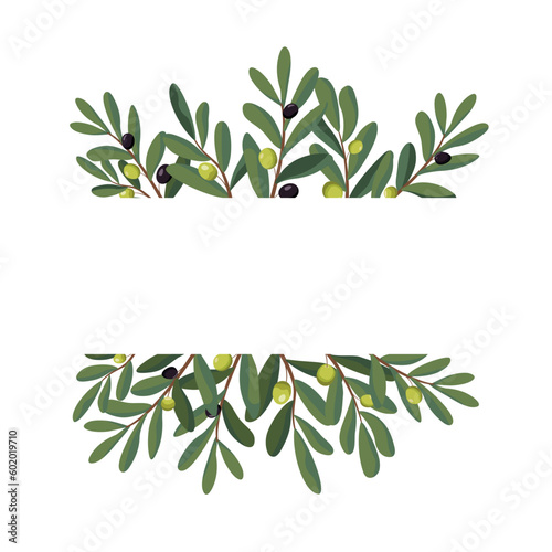 Horizontal frame with olive branches and fruits in a cartoon style. Vector illustration. Olive frame for packaging, label, and banner. Isolated on white background