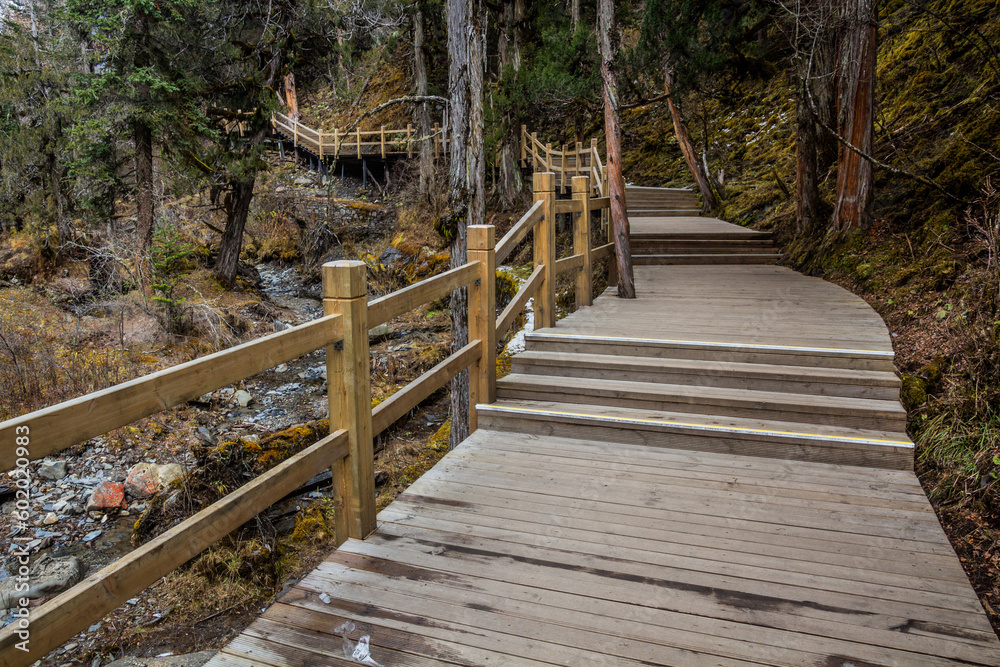 Fototapeta premium Boardwalk in Changping valley near Siguniang mountain in Sichuan province, China