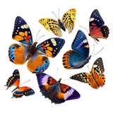 set of butterflies on a transparent background (PNG). AI generator