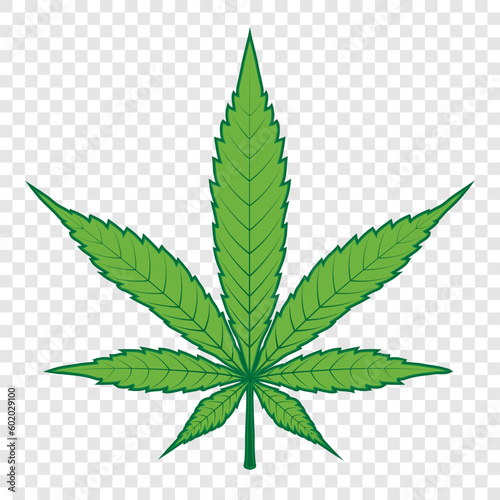 Green Cannabis, Marijuana, Marihuana, Weed, Hemp leaf vector icon on Transparency background.