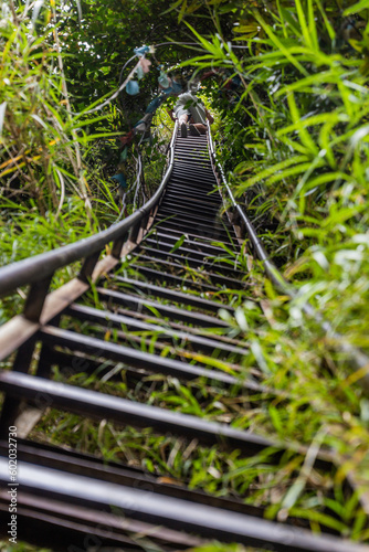 High ladder on a hiking trail in Tiger Leaping Gorge, Yunnan province, China photo