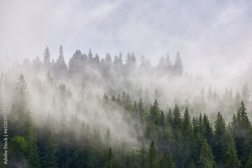 Fototapeta premium Abstract landscape in the mountains, with fog