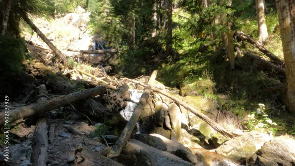 slow motion mountain woods water cascade with logs and greenery - summer backpacking or tourism slow motion mountain woods water cascade with logs and greenery - summer backpacking or tourism