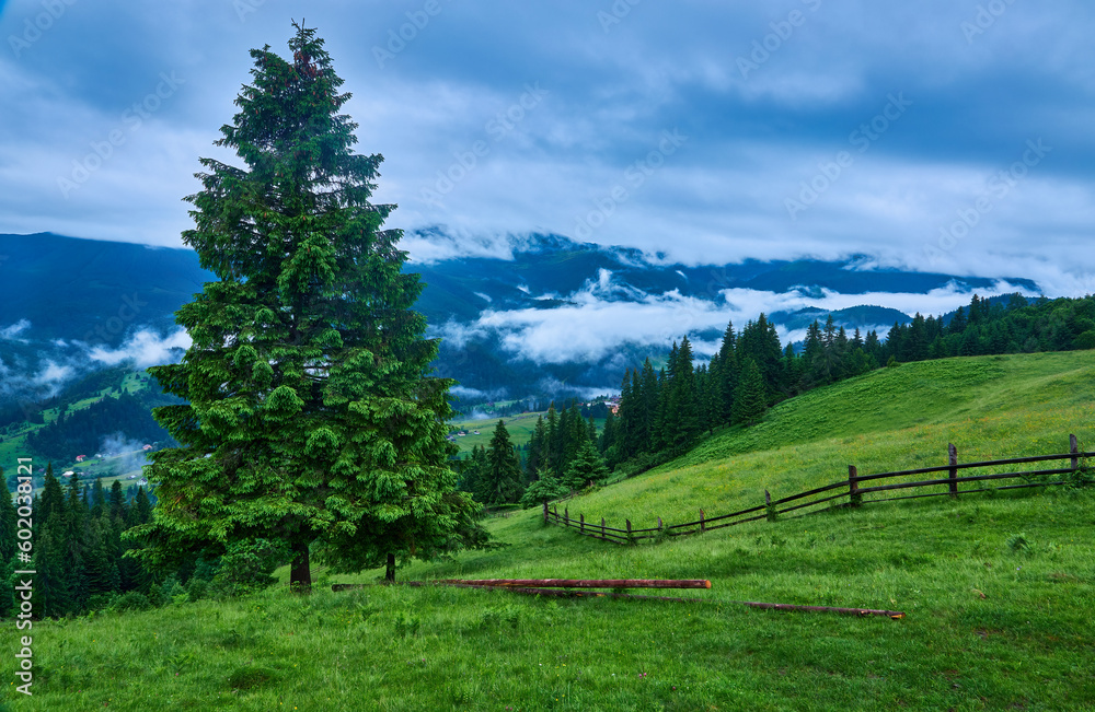 Majestic mountains landscape under morning sky with clouds. Overcast sky before storm. Carpathian, Ukraine Majestic mountains landscape under morning sky with clouds. Overcast sky before storm. Carpathian, Ukraine