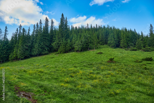 Idyllic landscape in the Alps with fresh green meadows and blooming flowers © Ryzhkov Oleksandr