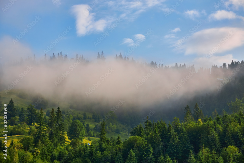 Abstract landscape in the mountains, with fog