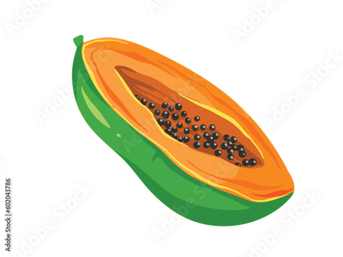 Sliced papaya vector illustration isolated on white horizontal background. Simple and flat art styled drawing.