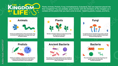 Science Infographics of Six Kingdoms of life - Vector illustration