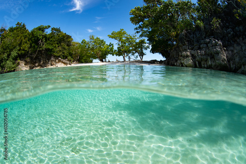 Clear  warm water bathes a remote tropical island off the coast of West Papua  Indonesia. This spectacular region harbors high marine biodiversity and is part of the coral triangle.