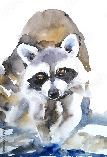 Raccoon watercolor illustration isolated on white background.