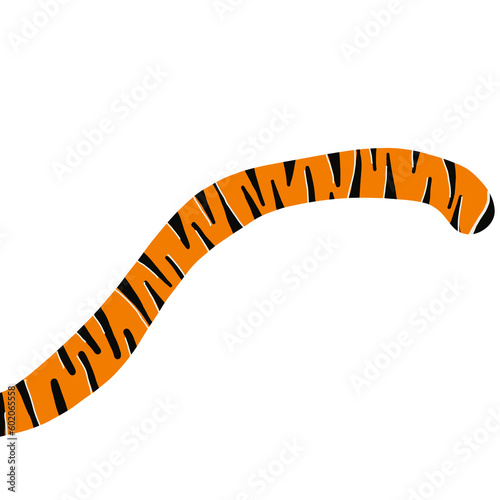 Photography tigers
