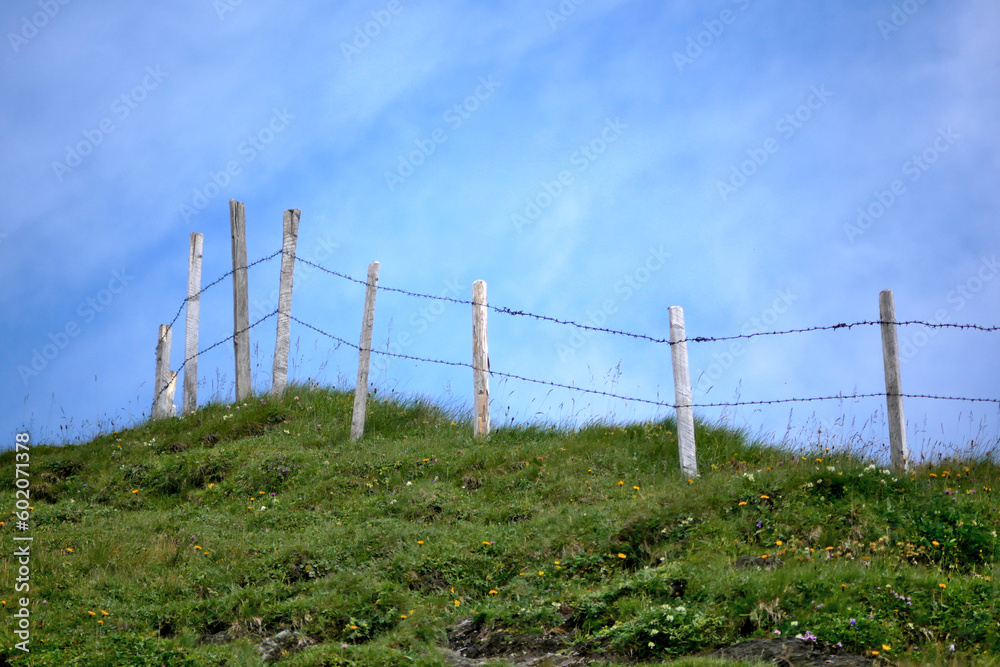 meadow fence on a mountain ridge