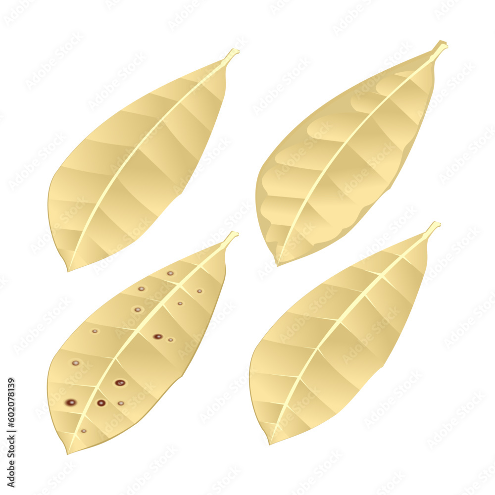 green leaves elements. Collection botanical vector isolated on white background suitable for Wedding Invitation, save the date, thank you, or greeting card. green leaves elements. Collection botanical vector isolated on white background suitable for Wedding Invitation, save the date, thank you, or greeting card.