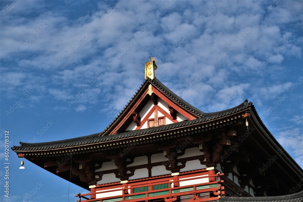 Obraz premium 奈良、平城宮跡，歴史公園、日本古来の建築物、伝統的な建築物、木造、青い空、白い雲