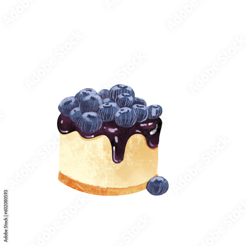 cake with blueberries
