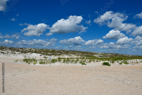 Ocean beach with sand dunes and sea oats in the background at St. Augustine, Florida. © itsallgood