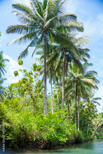 Wallpaper Mural Cruising on the beautiful and calm river with trees at Kali Cokel, Pacitan, Indonesia. Torontodigital.ca