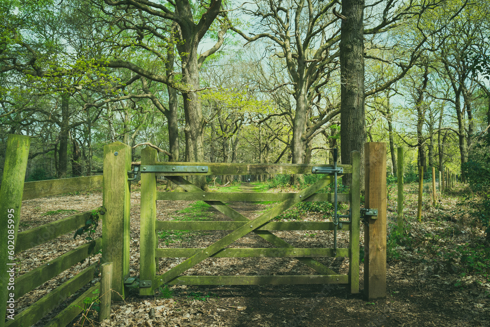 Wood entry gate seen to the famous Sherwood Forest park in the UK. The distant shows people walking the trail.