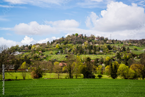 Landscape in spring at Riehen near Basel, Basel, Switzerland