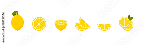 Citrus lemon slices set. Vector EPS 10