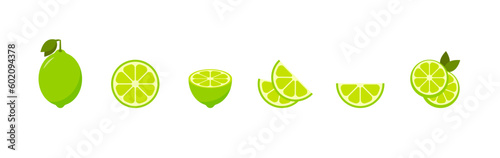 Citrus lime slices set. Vector EPS 10