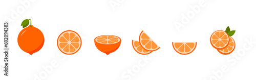 Citrus grapefruit slices set. Vector EPS 10