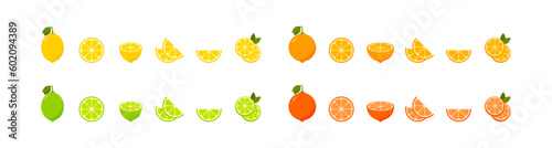 Citrus slices set. Lemon, lime, orange and grapefruit. Vector EPS 10