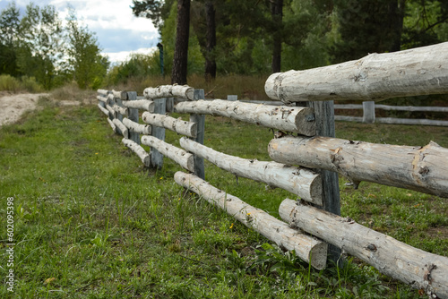 Fototapeta Naklejka Na Ścianę i Meble -  Old wooden fence made of logs against the background of a green forest landscape
