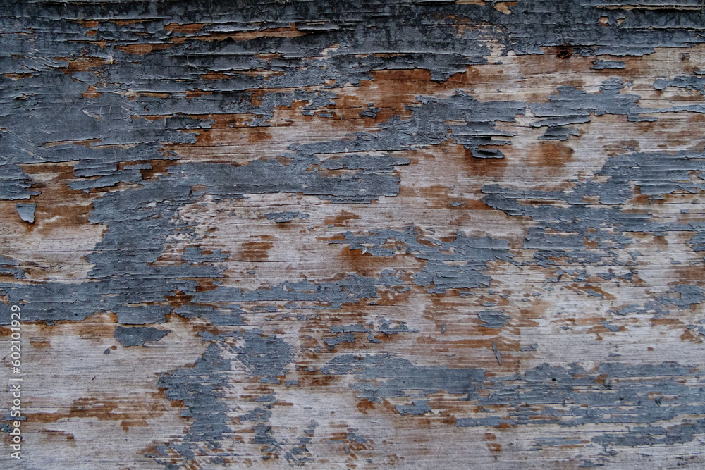 Obraz premium Fondale 