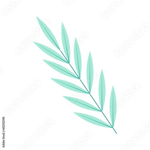 Green twig straight with long leaves, close-up, isolated, on a transparent and white background. Icon, element for design decoration. Vector illustration, image, graphic design.